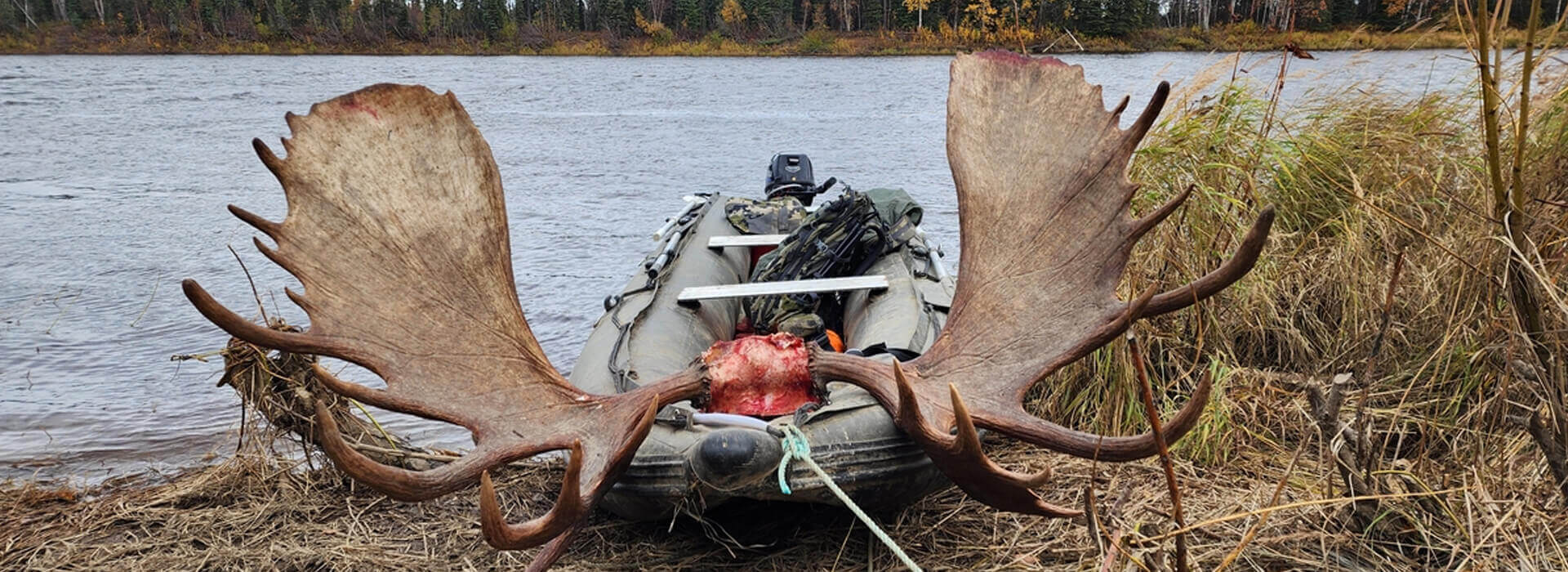 Privacy & Terms of Use Privacy & Terms of Use